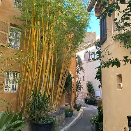 Spacieux Duplex, Vue Mer Et Belle Terrasse Hyeres Exterior photo