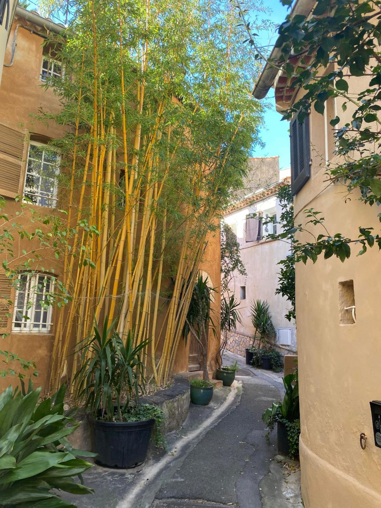 Spacieux Duplex, Vue Et Belle Terrasse Appartement *